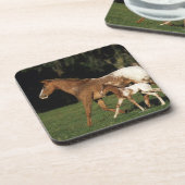 Appaloosaのロバおよび子馬 コースター (左側)