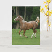 Appaloosaの馬のランニング カード (黄色い花)