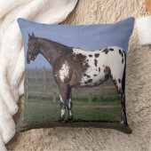 Appaloosaの馬の地位 クッション (ブランケット)