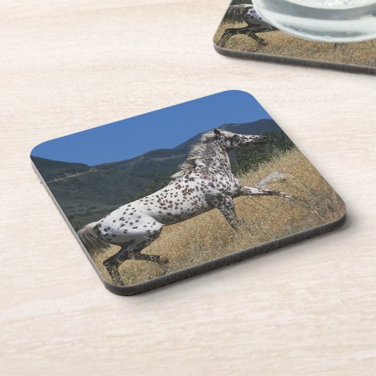 Appaloosaの馬の連続した上り山 コースター (左側)