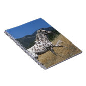 Appaloosaの馬の連続した上り山 ノートブック (右側)