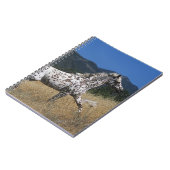 Appaloosaの馬の連続した上り山 ノートブック (左側)