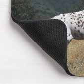 Appaloosaの馬の連続した上り山 マウスパッド (コーナー)