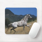 Appaloosaの馬の連続した上り山 マウスパッド (マウス)