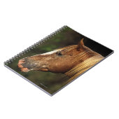 Appaloosaの馬のHeadshot 1 ノートブック (左側)