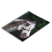 Appaloosaの馬のHeadshot 2 ノートブック (左側)