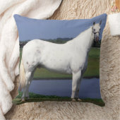 Appaloosaの馬 クッション (ブランケット)