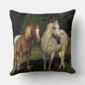 Appaloosaの馬 クッション (裏面)