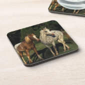 Appaloosaの馬 コースター (左側)