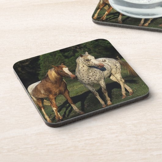 Appaloosaの馬 コースター (左側)