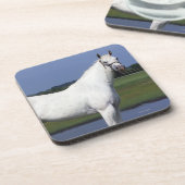 Appaloosaの馬 コースター (左側)