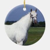Appaloosaの馬 セラミックオーナメント (裏面)