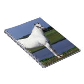 Appaloosaの馬 ノートブック (右側)