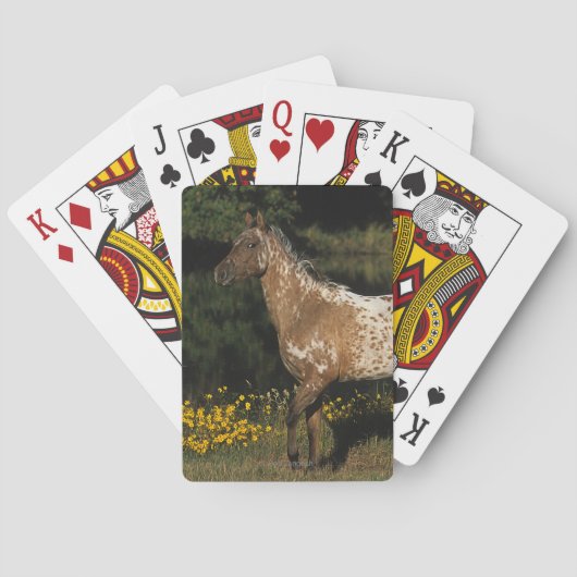 Appaloosaのhorse待機湖 トランプ (裏面)