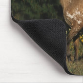 Appaloosaのhorse待機湖 マウスパッド (コーナー)