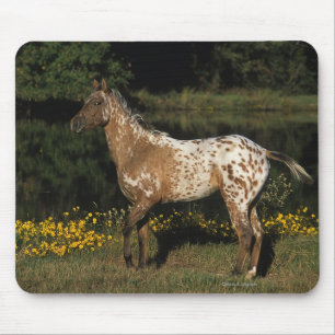 Appaloosaのhorse待機湖 マウスパッド