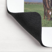 Appaloosaを牧草を食べること マウスパッド (コーナー)