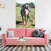 Appaloosa写真プロファイル キャンバスプリント (インサイチュ (リビング))
