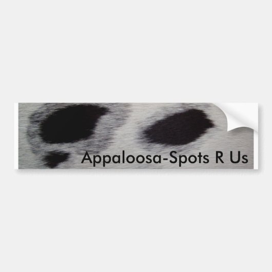 Appaloosa点R私達 バンパーステッカー (正面)