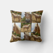 Appaloosa馬、写真コラージュ投げクッション。 クッション (裏面)