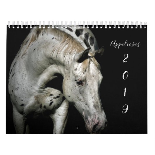 Appaloosa カレンダー (カバー)
