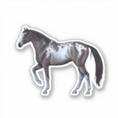 Appaloosa Horse | Illustration | Varnish Roan - シール (正面)