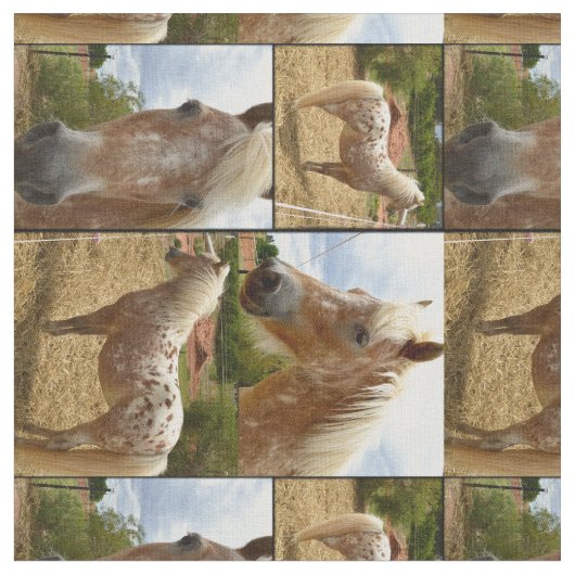 Appaloosa Horses写真コラージュ、 ファブリック (クローズアップ)