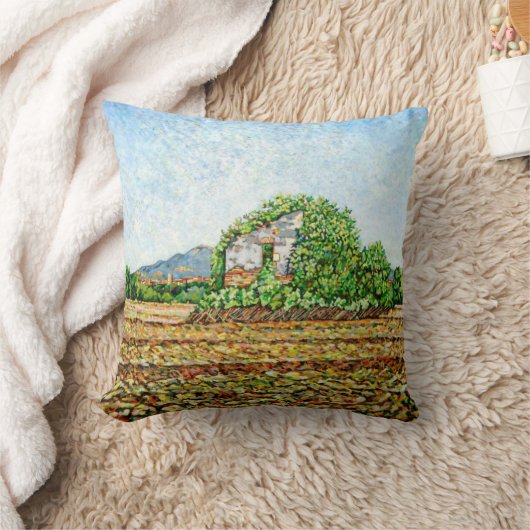 Appia Anticaの家 クッション (ブランケット)