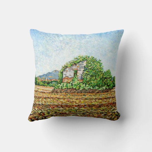 Appia Anticaの家 クッション (裏面)