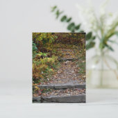 Applaachianトレイルへのステップ ポストカード (スタンド正面)