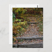 Applaachianトレイルへのステップ ポストカード (正面/裏面)