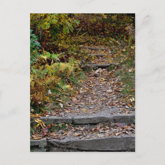 Applaachianトレイルへのステップ ポストカード (正面)