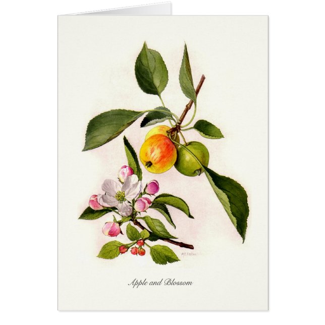Appleおよび花 (正面)