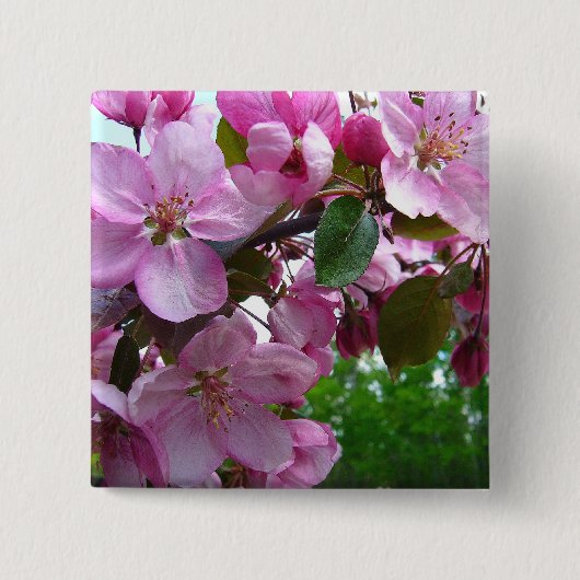 Appleのピンクの花 缶バッジ (正面)