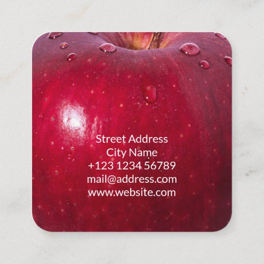 Appleのフェイクな一見 スクエア名刺 (裏面)