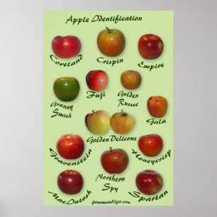 Appleの同一証明 ポスター