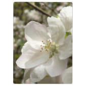 Appleの花のクリップボード クリップボード (裏面)
