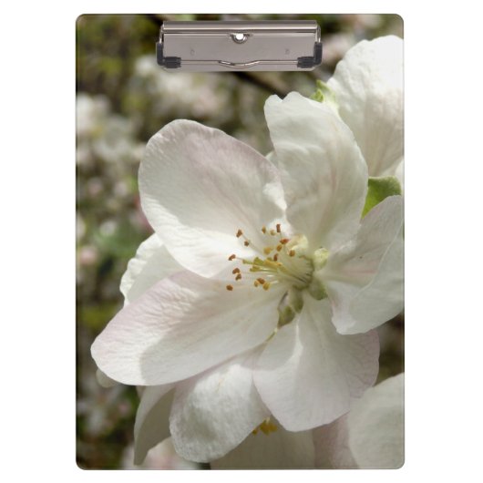 Appleの花のクリップボード クリップボード (正面)
