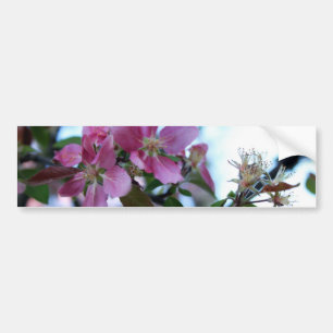 Appleの花のバンパーステッカー バンパーステッカー