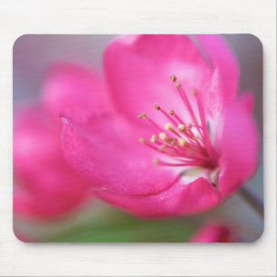Appleの花のマウスパッド マウスパッド