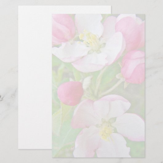 Appleの花の時間 便箋 (正面/裏面)