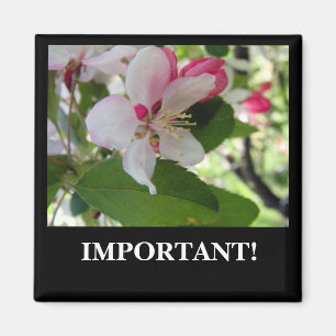 Appleの花 の磁石 マグネット