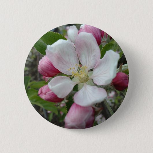 Appleの花 缶バッジ (正面)