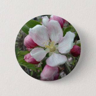 Appleの花 缶バッジ