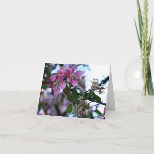 Appleの花Notecard 1 カード (正面)