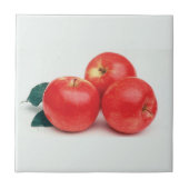 Appleイメージ付きセラミックタイル タイル (正面)