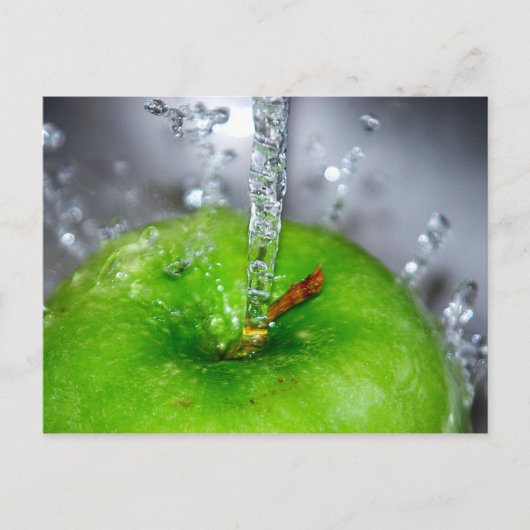 Appleスプラッシュポストカード ポストカード (正面)