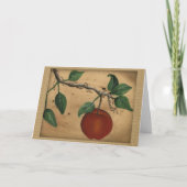 Apple誕生日カード カード (正面)