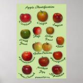 Apple識別 ポスター (正面)