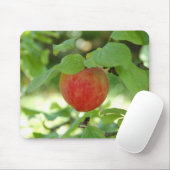Apple赤いAnnanas mousepad. マウスパッド (マウス)